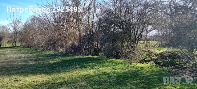 Урегулиран поземлен имот – 1380 кв.м. в с. Конево, общ. Върбица, снимка 3 - Парцели - 53710789