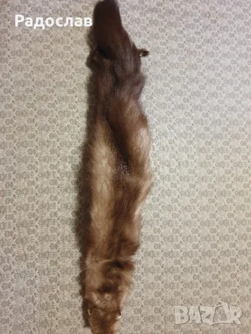 Яка от Белка, снимка 3 - Антикварни и старинни предмети - 49876658