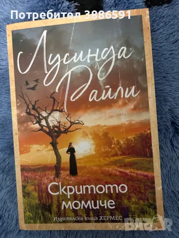 Книга “Скритото момче” Лусинда Райли, снимка 1 - Художествена литература - 47959825