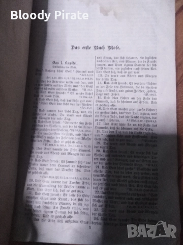 Стара немска библия по Мартин Лутър 1895, снимка 3 - Антикварни и старинни предмети - 52463884