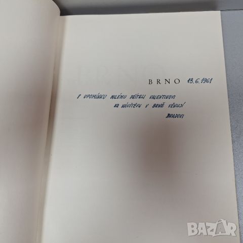 Бърно: Ein Photographisches Bilderbuch: Книга с фотографски снимки, снимка 2 - Енциклопедии, справочници - 46443803