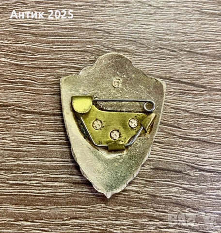 Винтидж значка на Съветската армия – Специалист II клас, снимка 2 - Колекции - 53663500