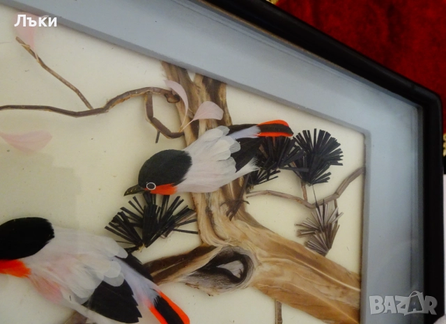 Стара диорама от пера Птици с гнездо,рамка. , снимка 3 - Антикварни и старинни предмети - 51990046