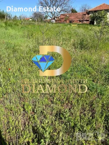 Парцел в село Стамболийски, обл. Хасково, снимка 6 - Парцели - 51218536