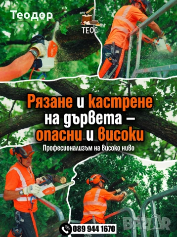 Рязане на опасни дървета и почистване на дворове – Варна, снимка 5 - Хамалски услуги - 53670302