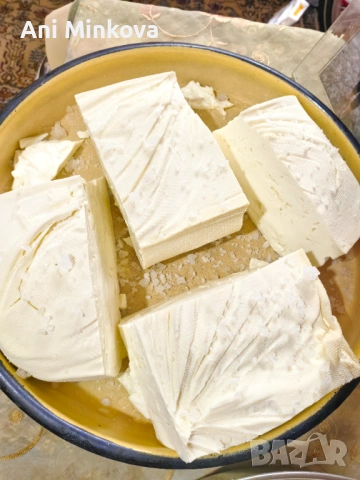 Продавам Прясно овче сирене , снимка 9 - Овце - 54233099
