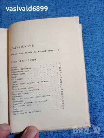 Василий Казин - Стихотворения , снимка 5 - Художествена литература - 47681907