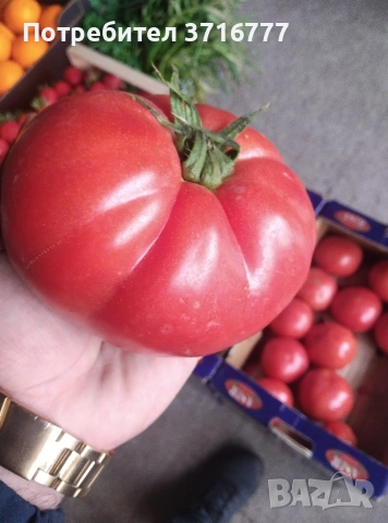 зеленчуци и плодове , снимка 4 - Други стоки за дома - 54265438