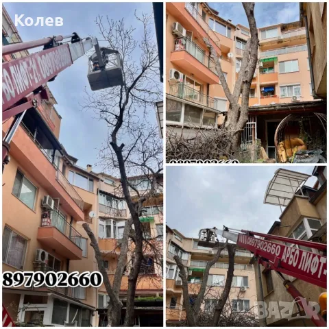 Рязане  и кастрене на рискови дървета Пловдив, снимка 6 - Други услуги - 38903149