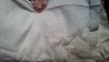 Памучен плат за спално бельо ,100 % памук, снимка 10