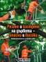 Рязане на опасни дървета и почистване на дворове – Варна, снимка 5
