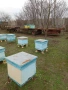 Продавам пчеларски инвентар и оборудване, снимка 2
