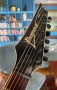 Ibanez  RG 321 EX, снимка 2