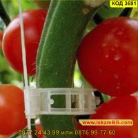 50 броя клипс за поддържане на домати и растения - КОД 3691, снимка 2 - Други - 45096093