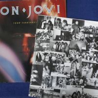 грамофонни плочи Bon Jovi, снимка 3 - Грамофонни плочи - 45351971