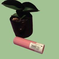 Балсам за устни ,,Faberlic”, антивъзрастов, безцветен , снимка 5 - Декоративна козметика - 45134425