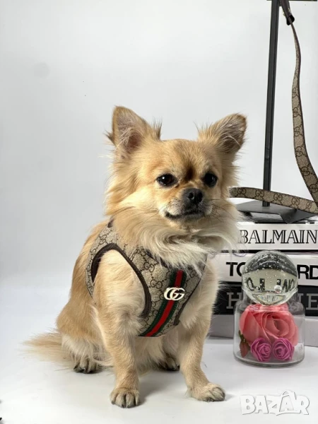 каишки за кучета gucci karl lagerfeld , снимка 1
