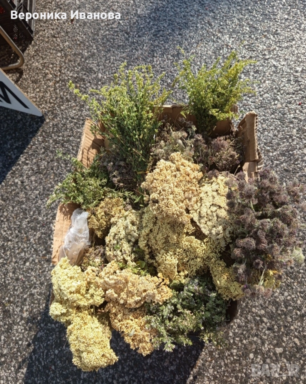 Чай от Родопите , снимка 1