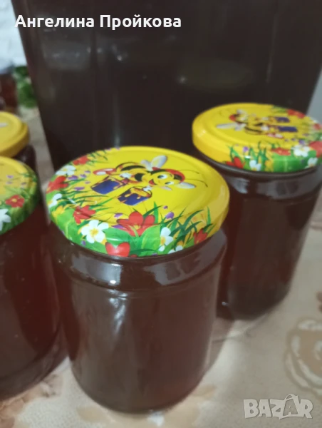 Пчелен кестенов мед 2025, снимка 1