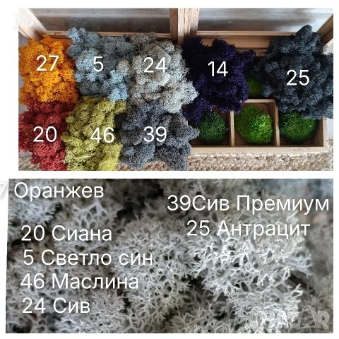 Скандинавски мъх за живи стени, пана и декорации, Премиум почистен Скандинавски мъх, снимка 4 - Декорация за дома - 36784939