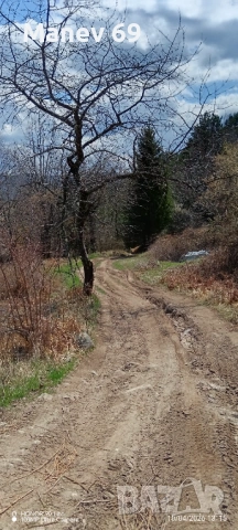 Продавам вила в Родопите  гр.Смолян.🌲 , снимка 12 - Вили - 54162831