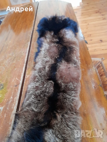 Стара кожа,яка от лисица #3, снимка 4 - Други ценни предмети - 53512540