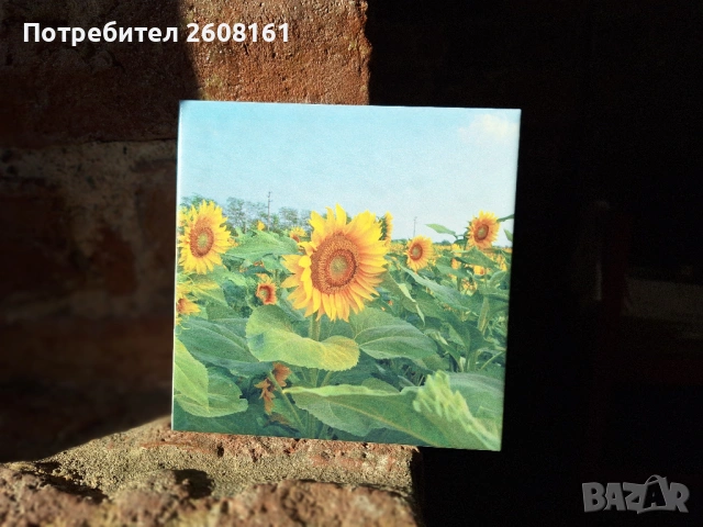 Оригинален подарък - директен UV печат на снимка върху керамична плочка