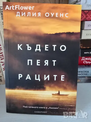 Книги в перфектно състояние , снимка 12 - Художествена литература - 47393324