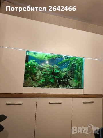 продавам аквариум 