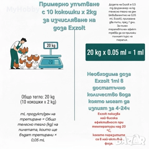 Exzolt 10ml против кокошинки , снимка 2 - За птици - 52972969