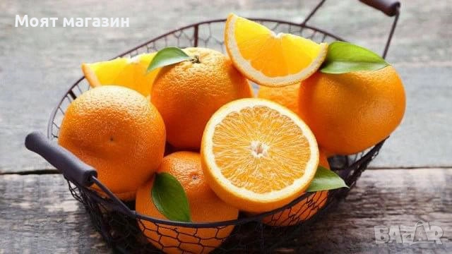 Портокал - Облагородени, снимка 10 - Градински цветя и растения - 53632628