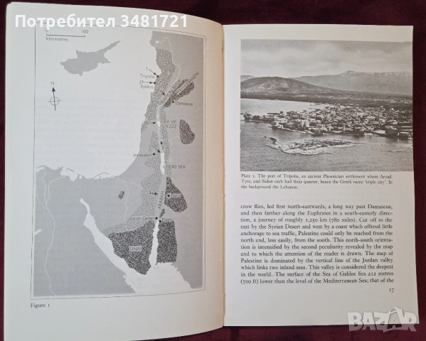 Библейски атлас / The Penguin Shorter Atlas of the Bible, снимка 4 - Енциклопедии, справочници - 54244073