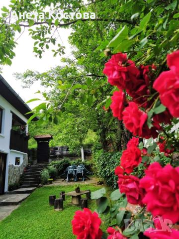 Лятна почивка в къща за гости Костови !, снимка 1 - Почивки на планина - 46475224