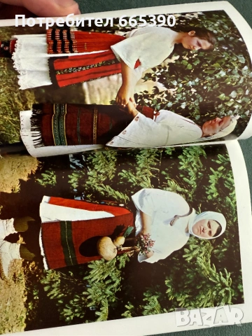 Народни носии от Видински окръг, снимка 3 - Други - 53873945