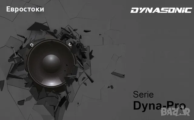 DYNASONIC Dynapro 12 Преносима активна тонколона, снимка 4 - Bluetooth тонколони - 50107485