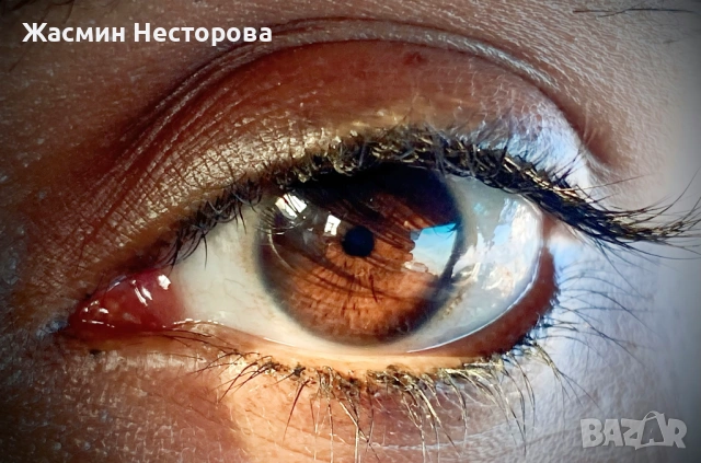 Ирисова фотография с 25% намаление - 3 ириса, 60x42 см снимки, Пловдив, снимка 3 - Ваучери - 53496628