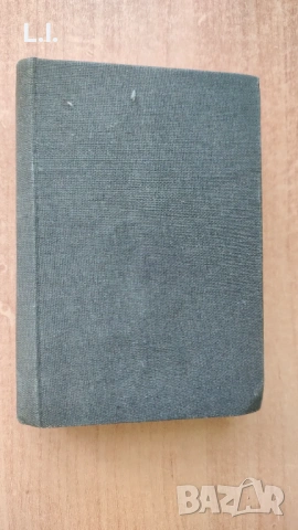 Стар българо английски речник , снимка 4 - Антикварни и старинни предмети - 53201962