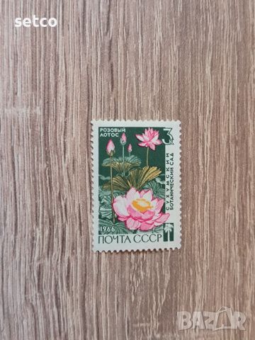 СССР флора цветя 1966 г., снимка 1 - Филателия - 46415992