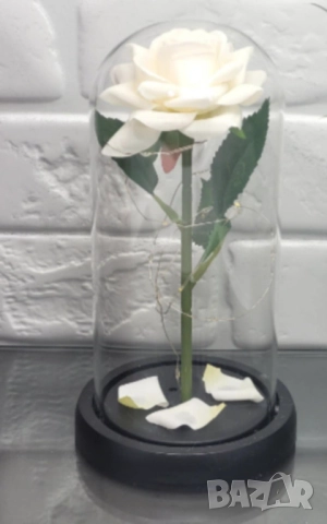 Бяла роза под стъклен купол - Вечна елегантност, снимка 6 - Подаръци за жени - 51852346