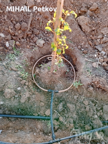 Автоматични поливни системи-монтаж, настройка и безплатен оглед, снимка 3 - Напояване - 52524515