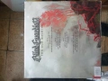 Голяма нова винилова плоча , снимка 7
