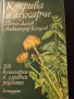 Коприва и глухарче - 200 кулинарни и здравни рецепти, снимка 1