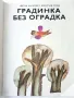 Градинка без оградка - Ц.Ангелов,Б.Стоев - 1980г., снимка 3