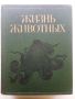 Енциклопедия "Жизнь животных" в седем тома, снимка 4