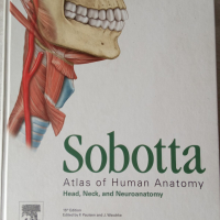 Sootta Head, Neck and Neuroanatomy, снимка 1 - Специализирана литература - 45035107