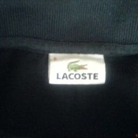 2 Тениски Lacoste оригинални, снимка 4 - Тениски - 45322919