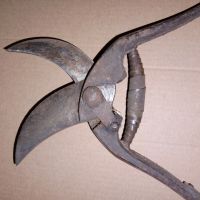 Лозарска ножица над сто години, снимка 7 - Други - 45255357