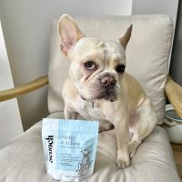 Scooch Добавка за кучета против алергии и сърбеж, фъстъчено масло и аромат на кокос - 60 дъвки, снимка 5 - За кучета - 45424525