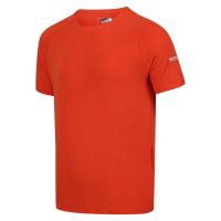 Мъжка тениска бързосъхнеща Regatta Ambulo Active, снимка 3 - Тениски - 45382582