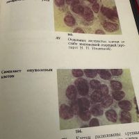 Болезни крови у детей -Атлас, снимка 12 - Специализирана литература - 45300488